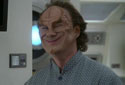 Phlox_grinning